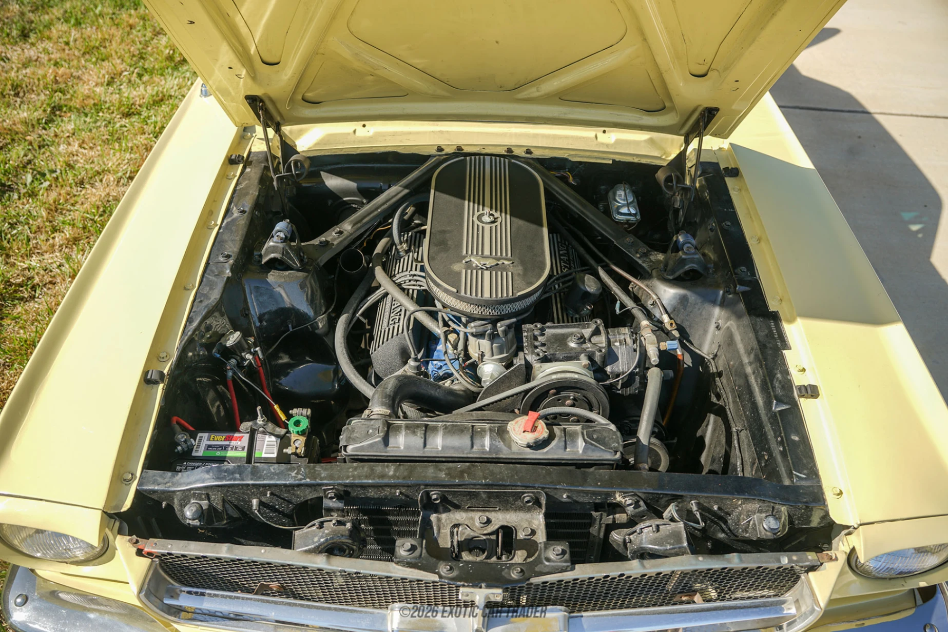 1965 Ford Mustang - Engine Photo