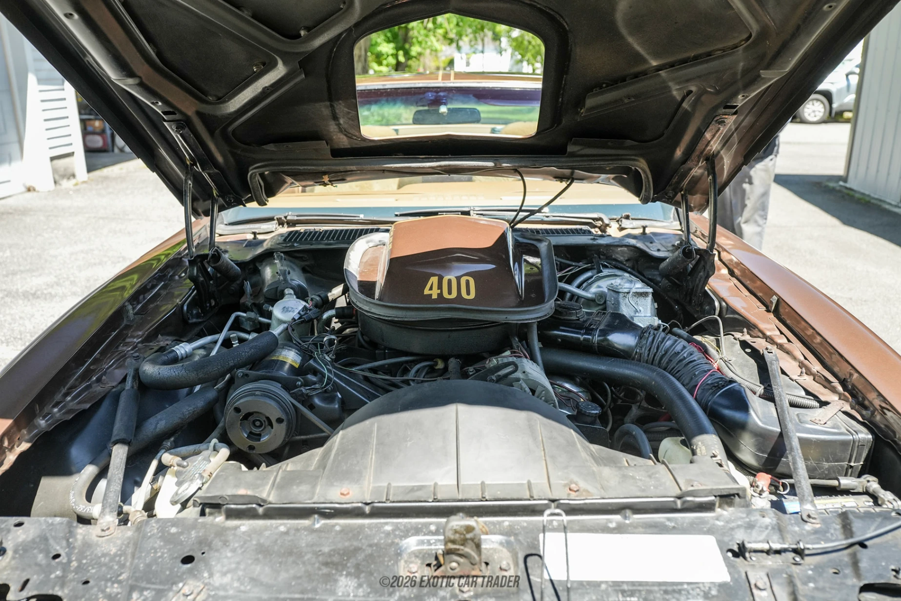 1979 Pontiac Firebird - Engine Photo