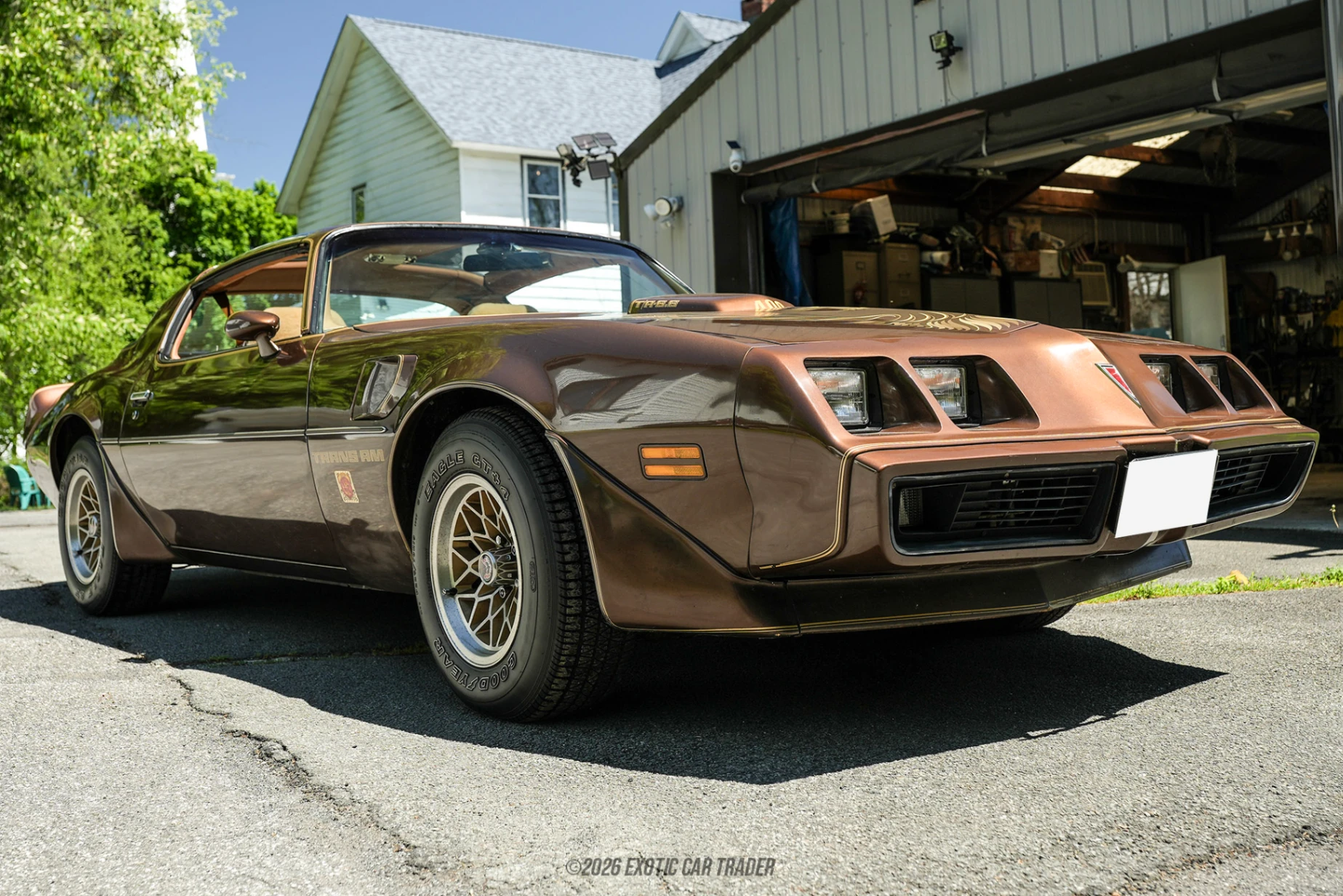 1979 Pontiac Firebird - Overview Photo