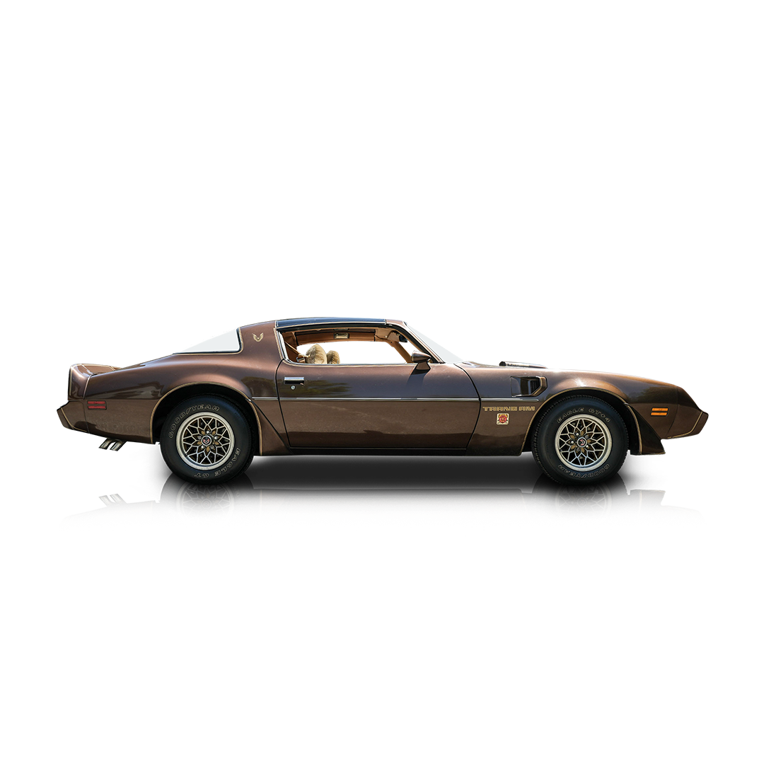 1979 Pontiac Firebird - Passenger side