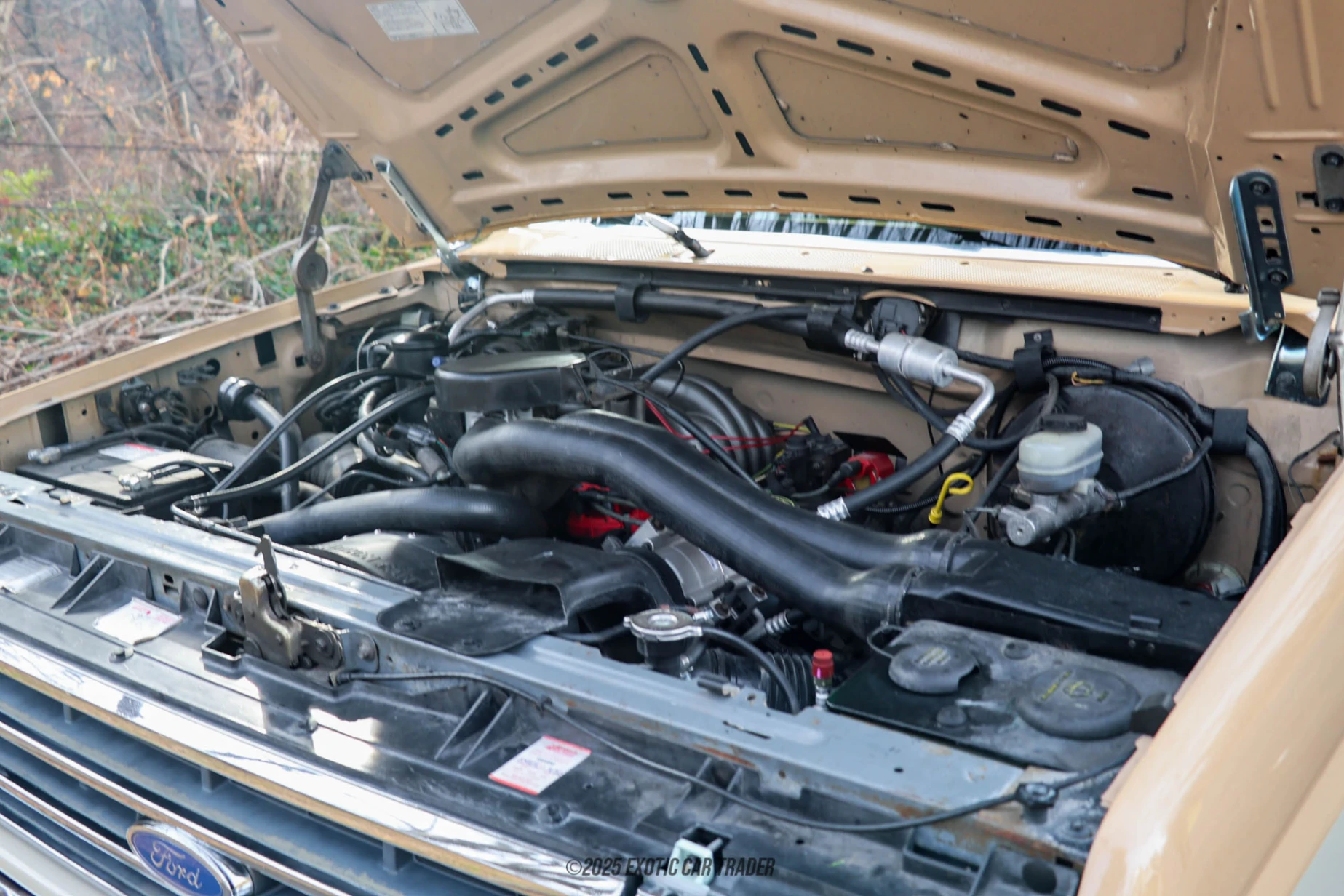 1990 Ford Bronco - Engine Photo