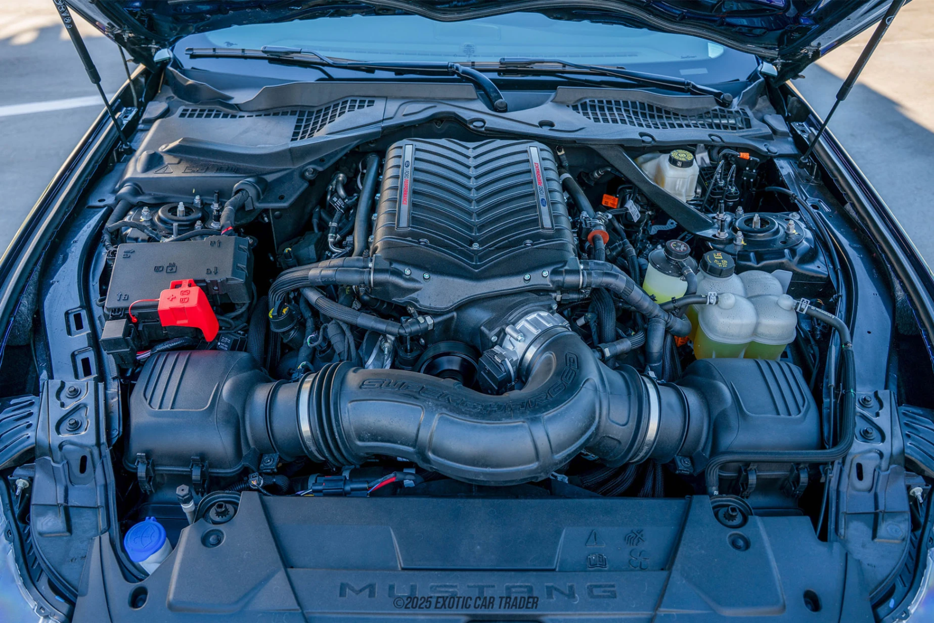 2024 Ford Mustang - Engine Photo