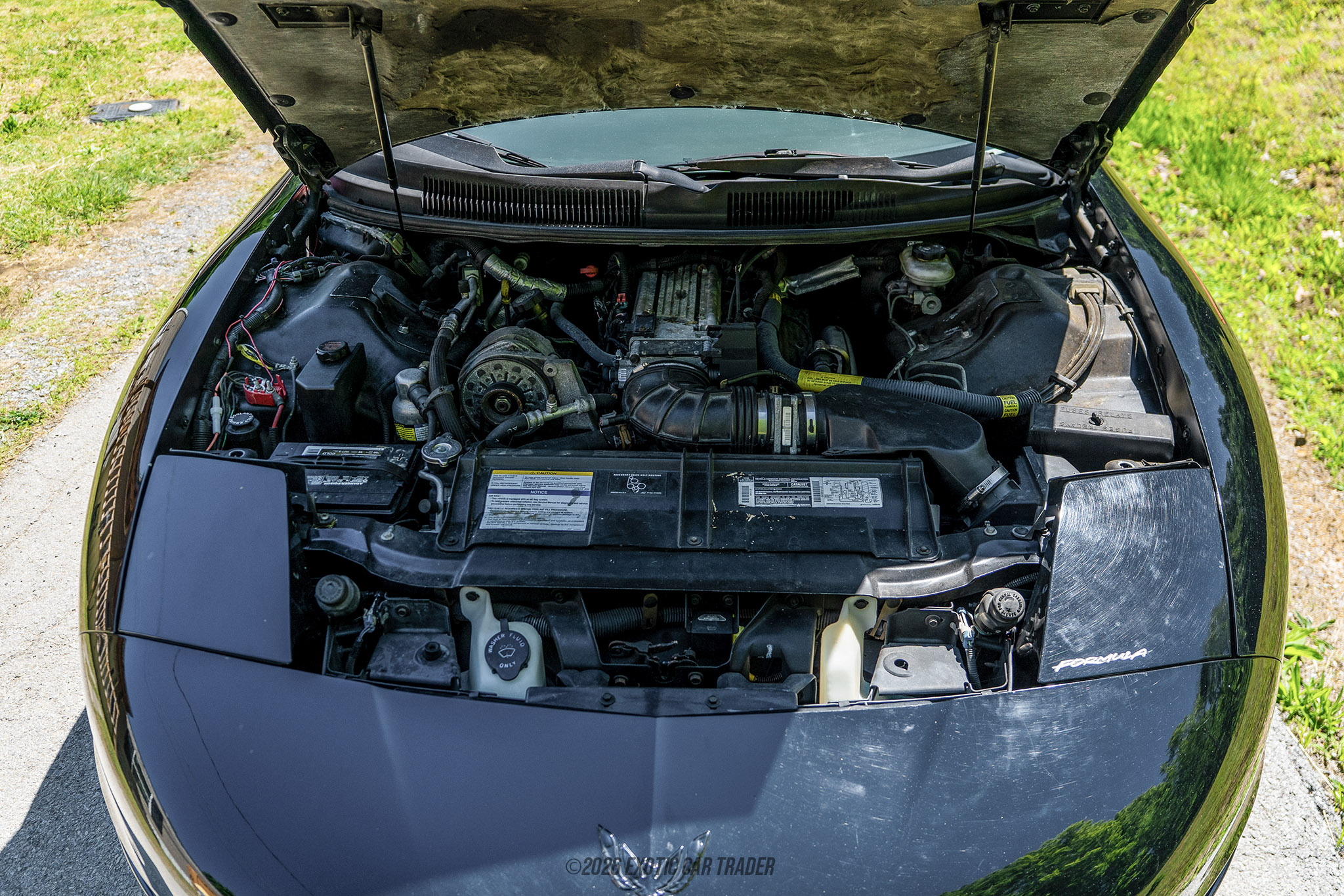 1995 Pontiac Firebird - Engine Photo