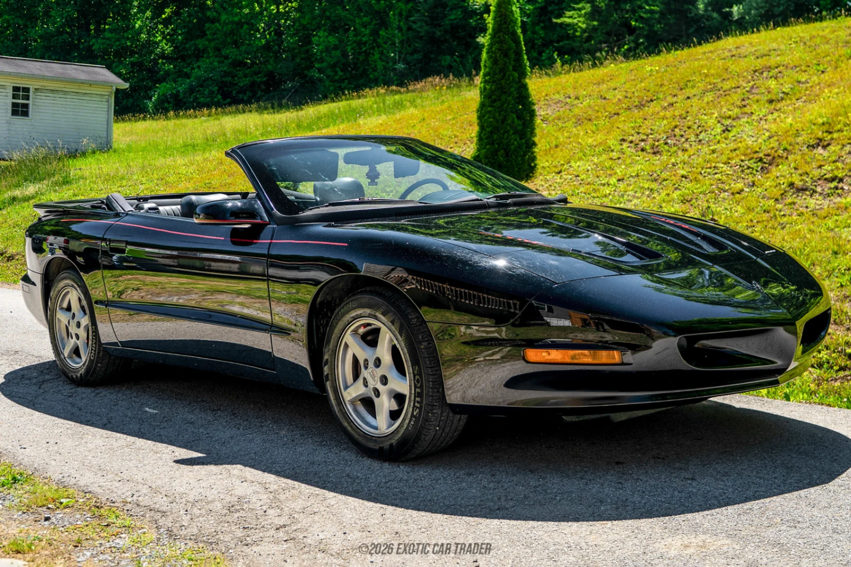 1995 Pontiac Firebird - Overview Photo