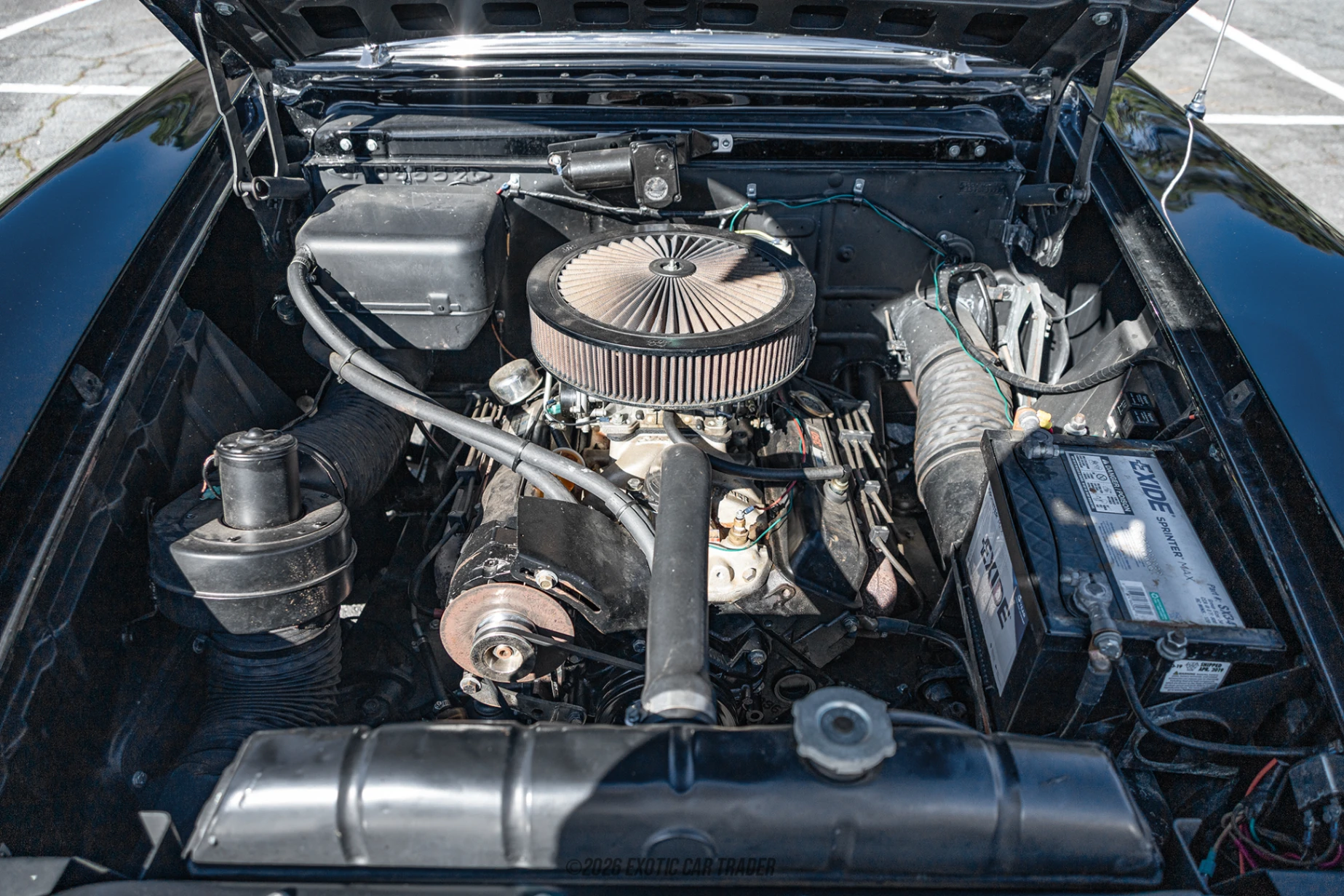 1951 Packard 200 - Engine Photo