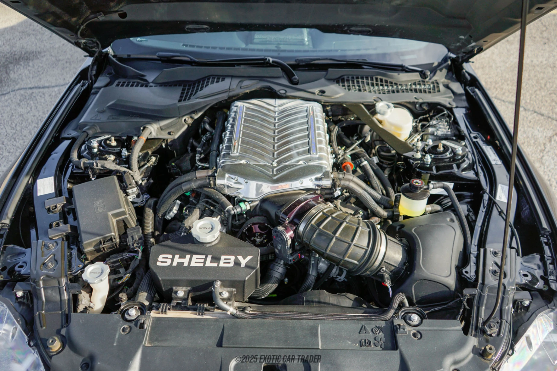 2022 Ford Mustang - Engine Photo