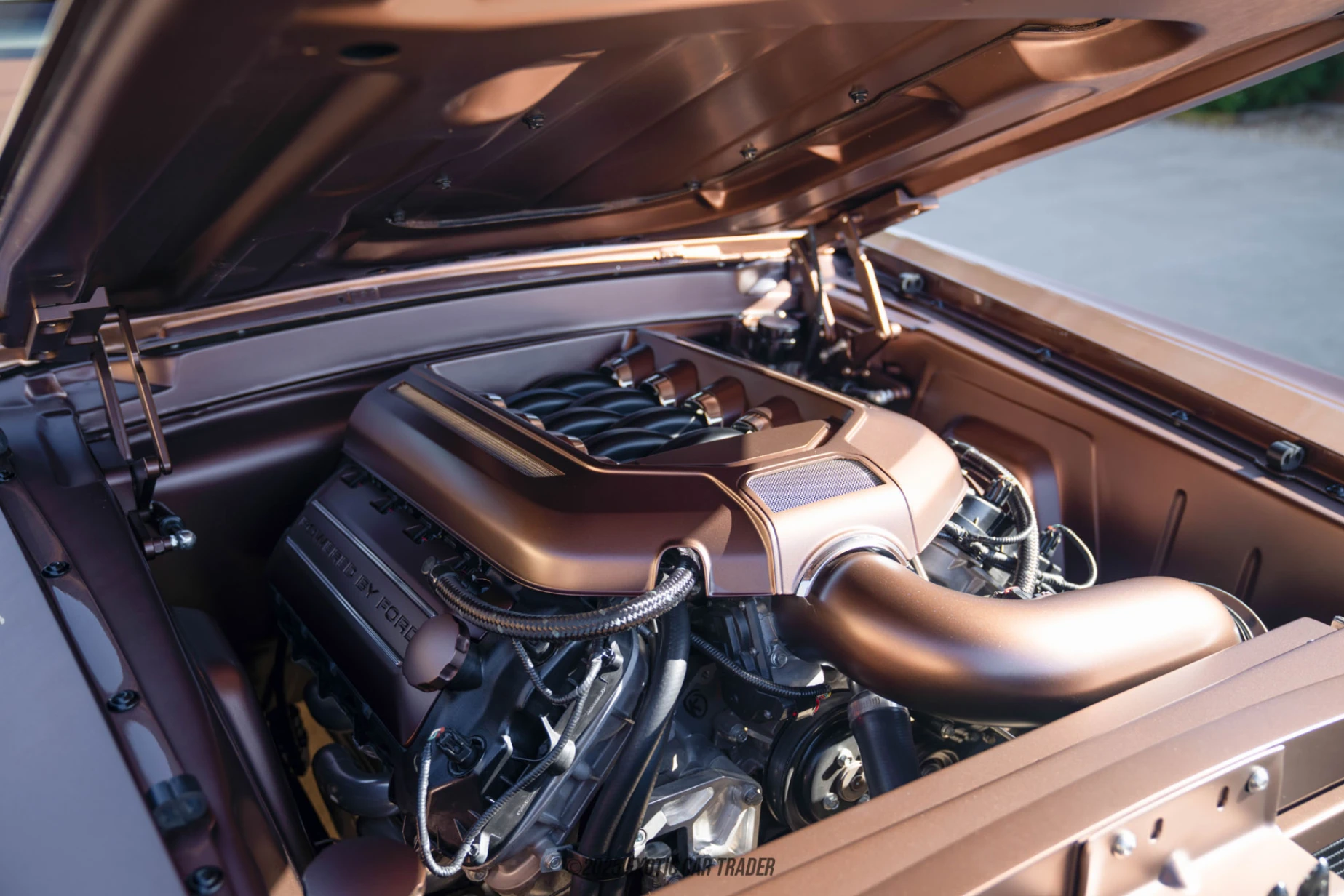1969 Ford Mustang - Engine Photo