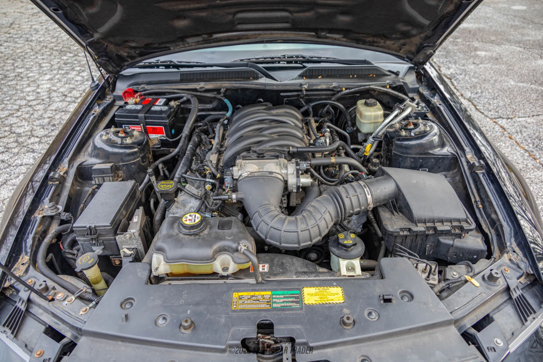 2008 Ford Mustang - Engine Photo