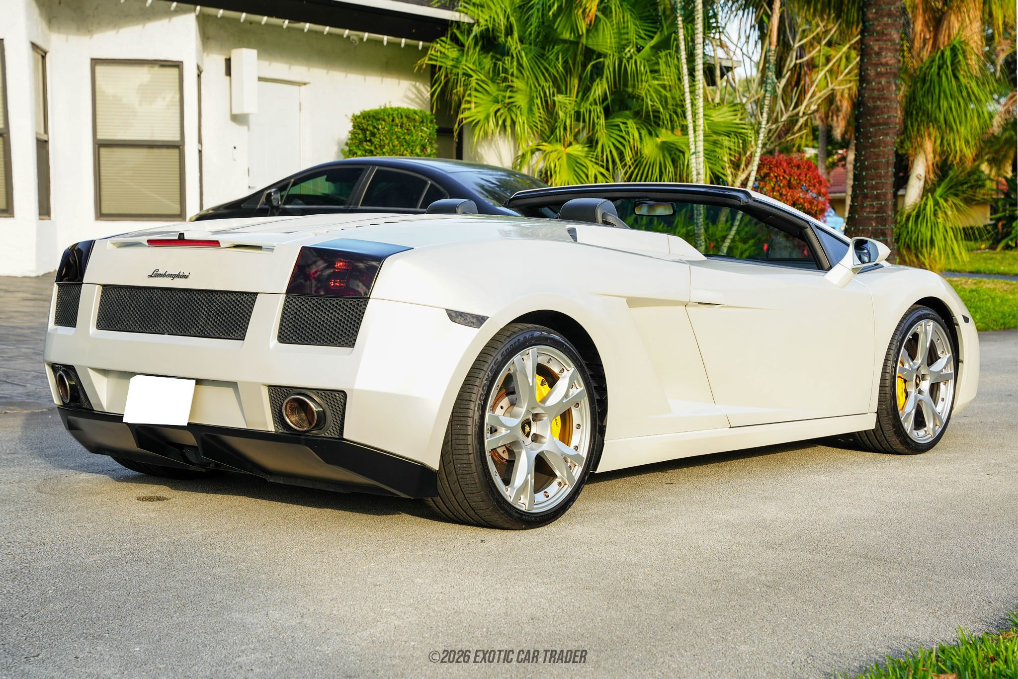 2008 Lamborghini Gallardo - Engine Photo