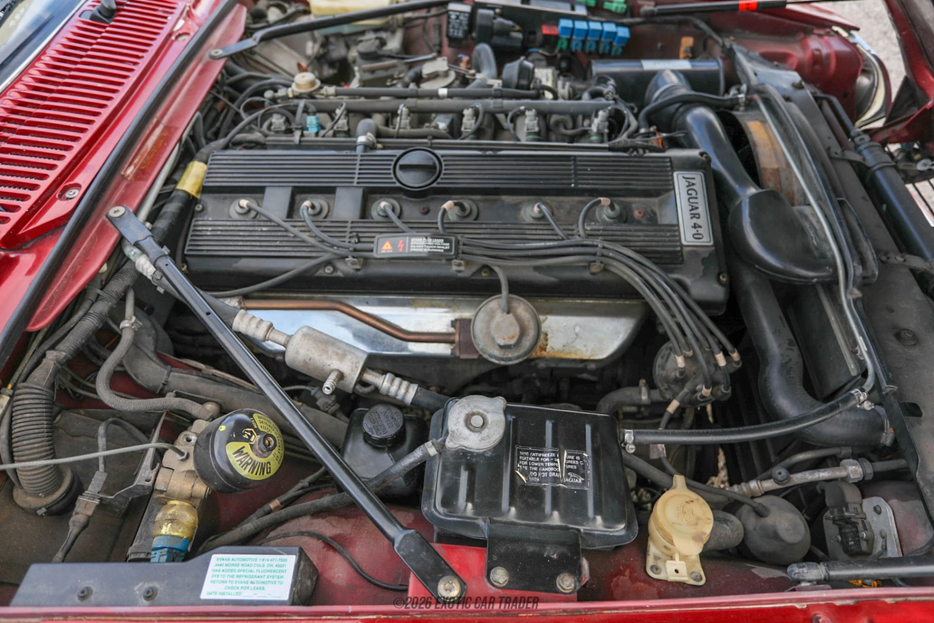 1994 Jaguar XJS - Engine Photo