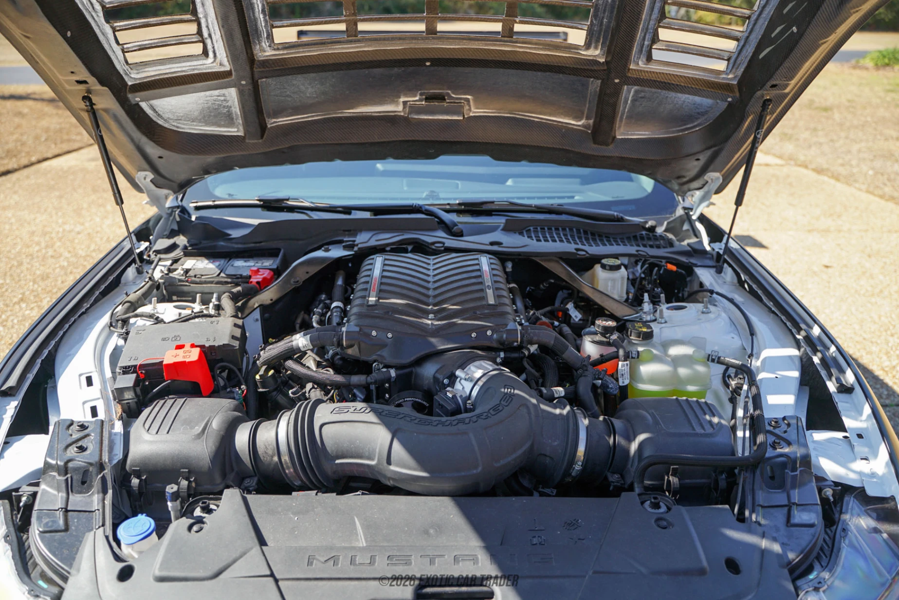 2024 Ford Mustang - Engine Photo