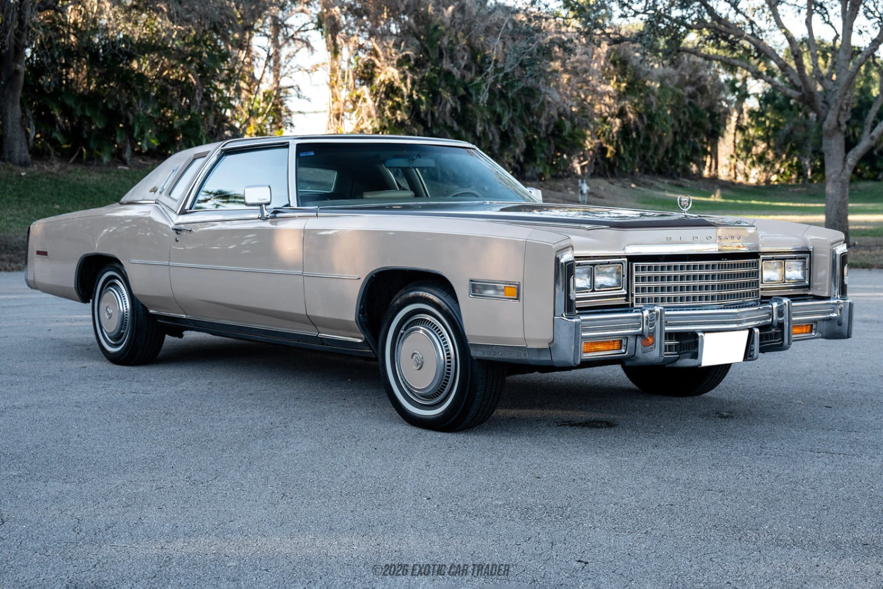 1978 Cadillac Eldorado - Overview Photo