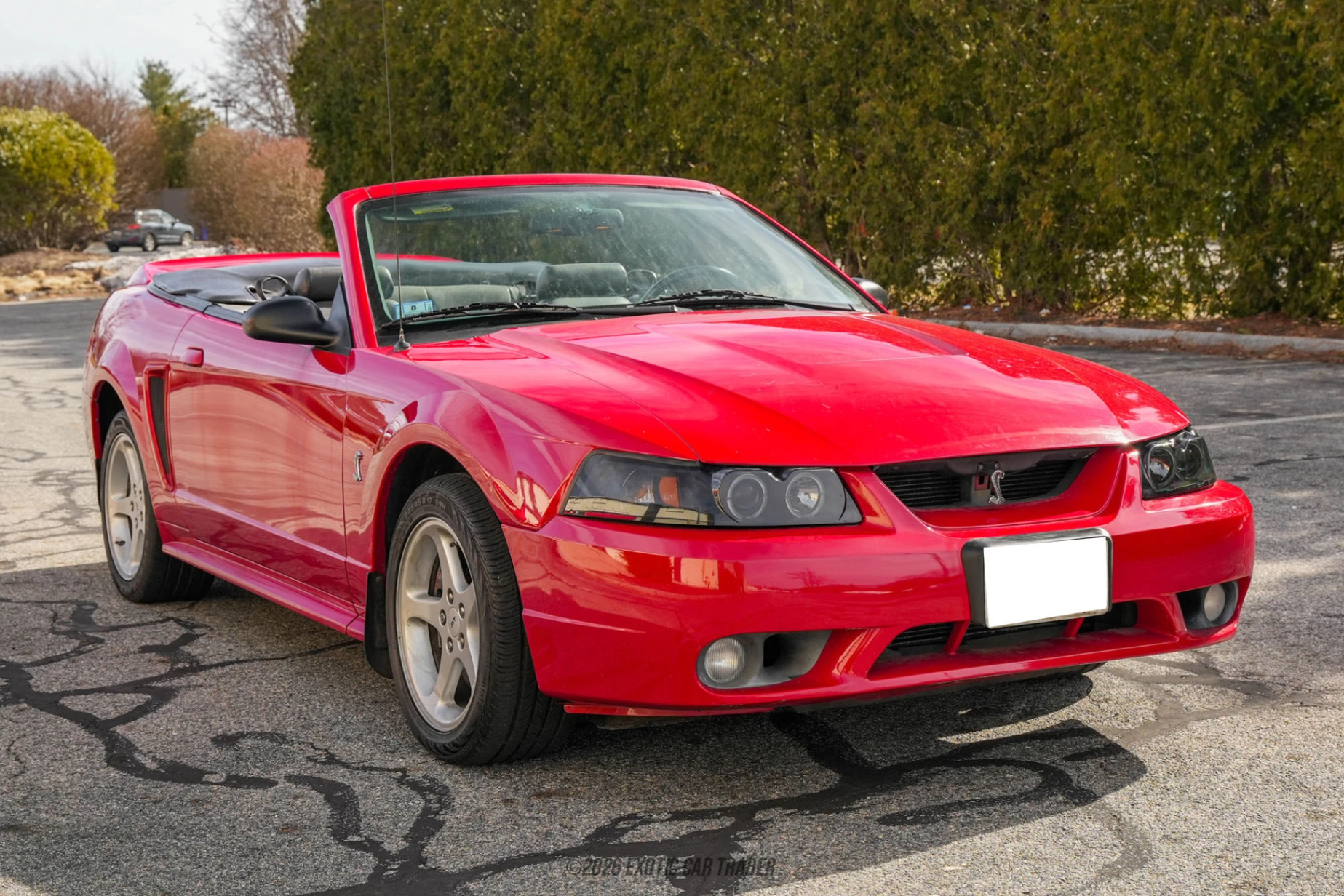 1999 Ford Mustang - Overview Photo