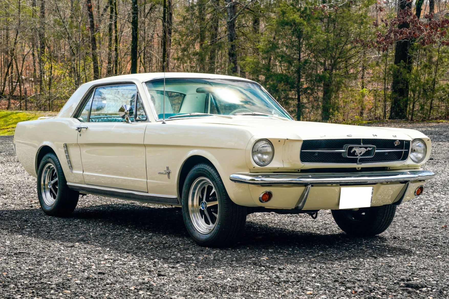1965 Ford Mustang - Overview Photo