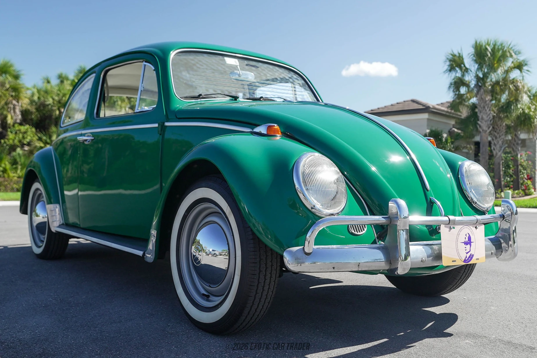 1965 Volkswagen Beetle - Overview Photo