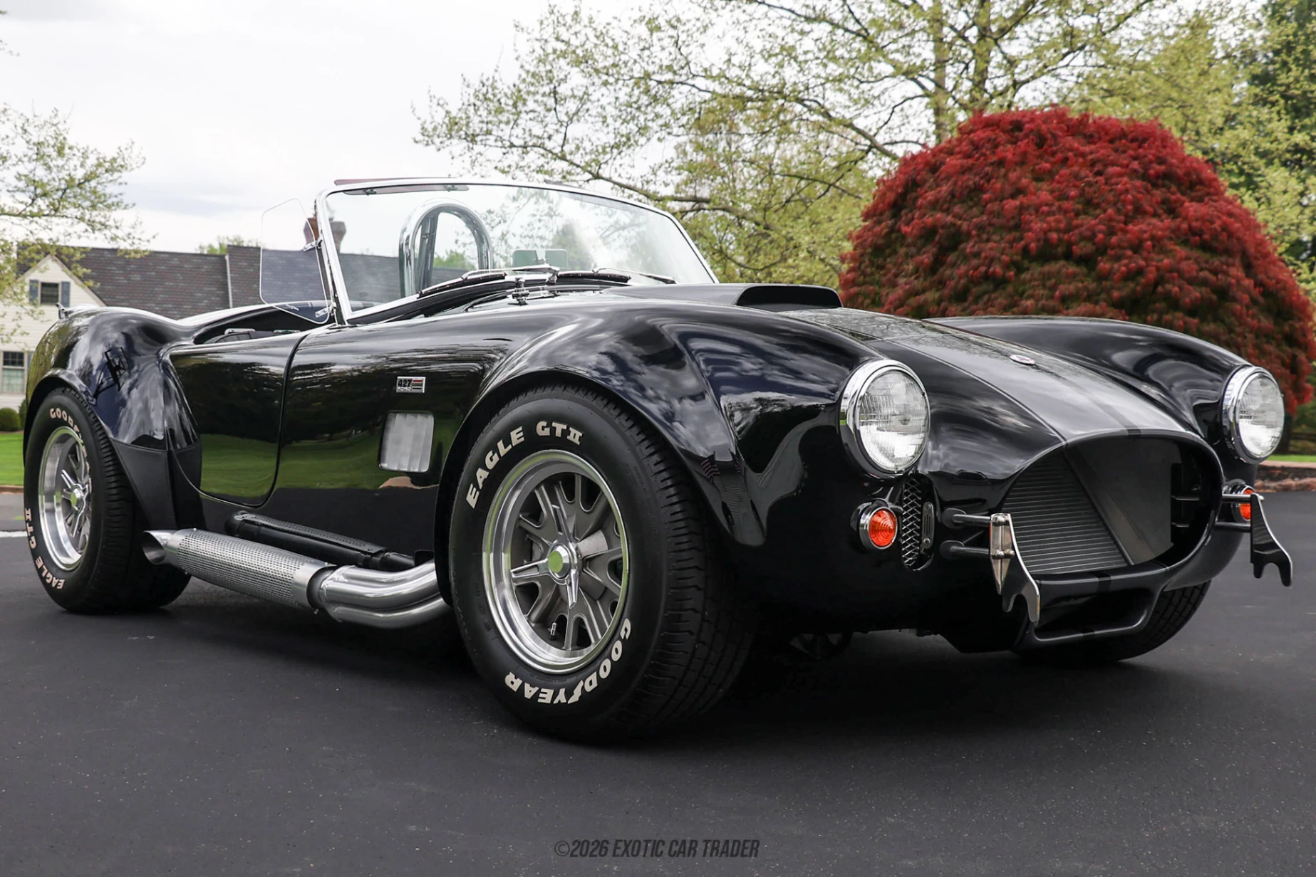 1965 Shelby Cobra - Overview Photo