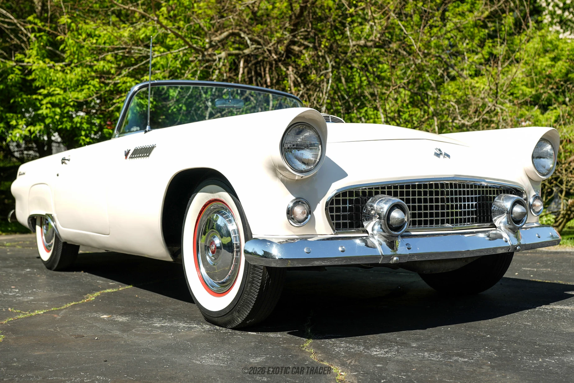 1955 Ford Thunderbird - Overview Photo