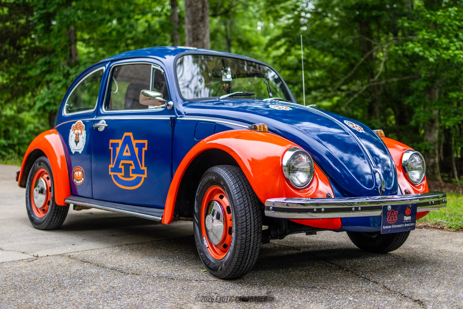 1969 Volkswagen Beetle - Overview Photo