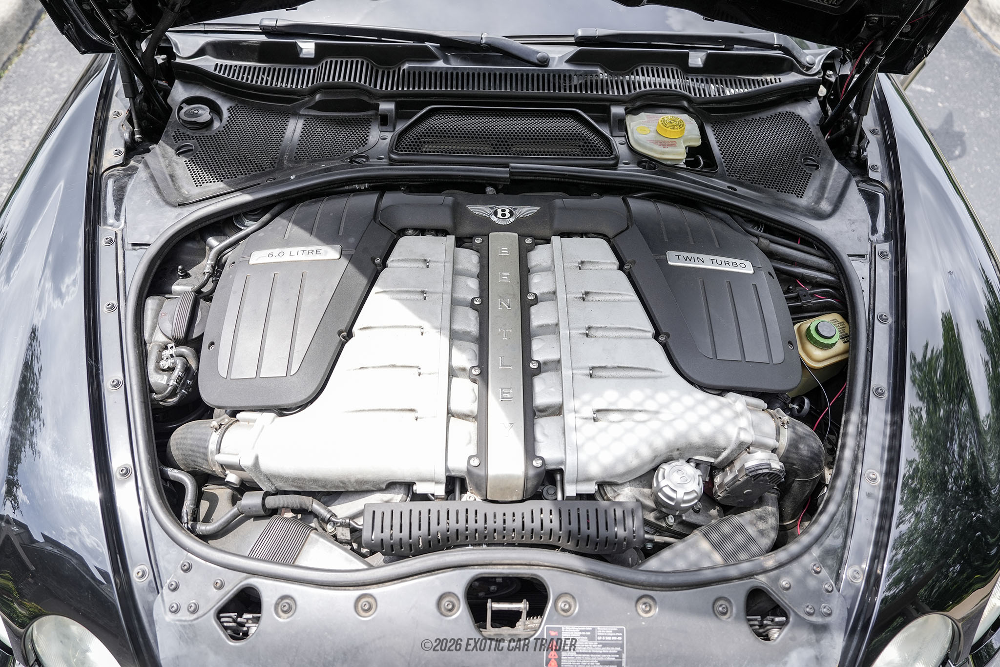2006 Bentley Continental - Engine Photo