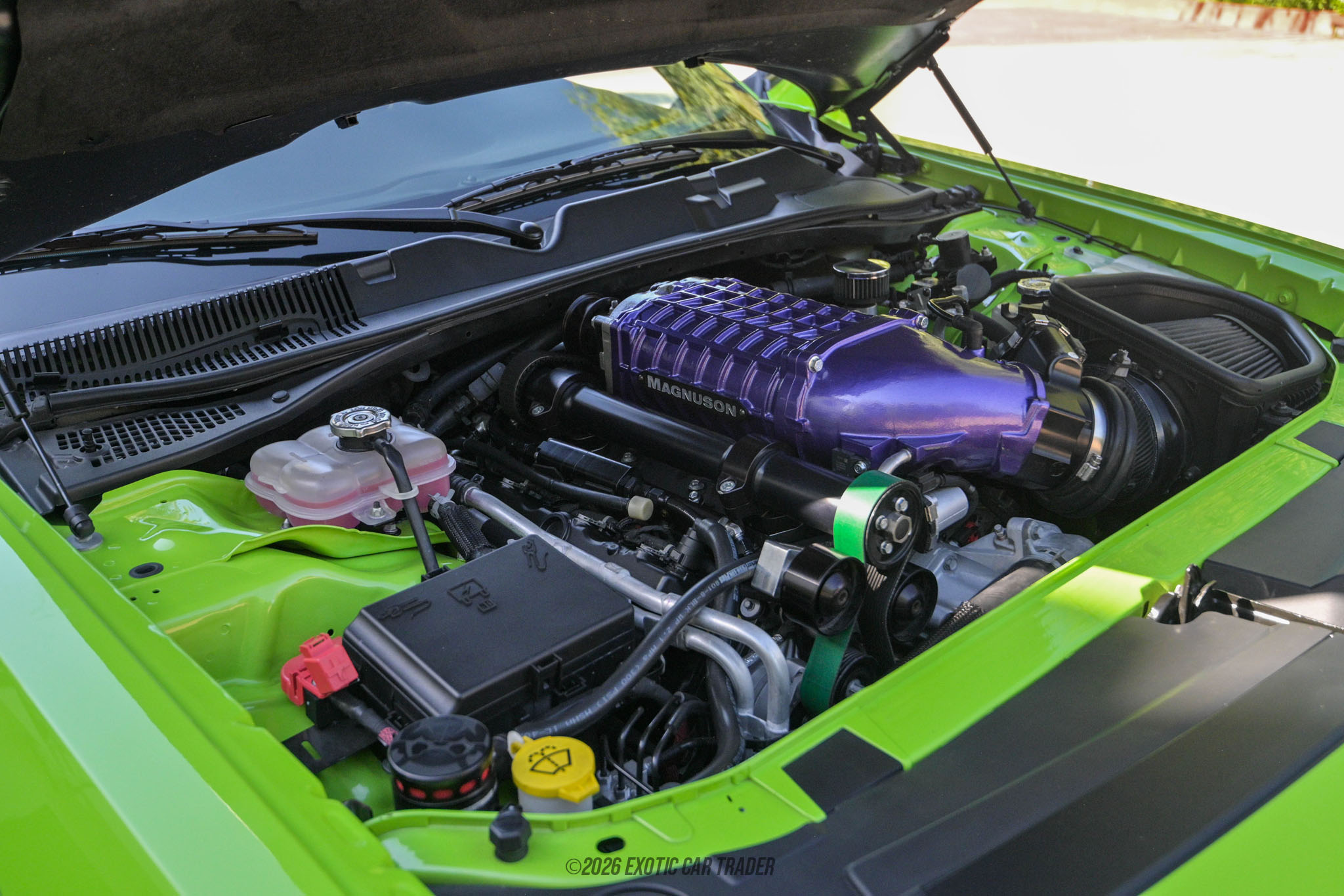 2019 Dodge Challenger - Engine Photo