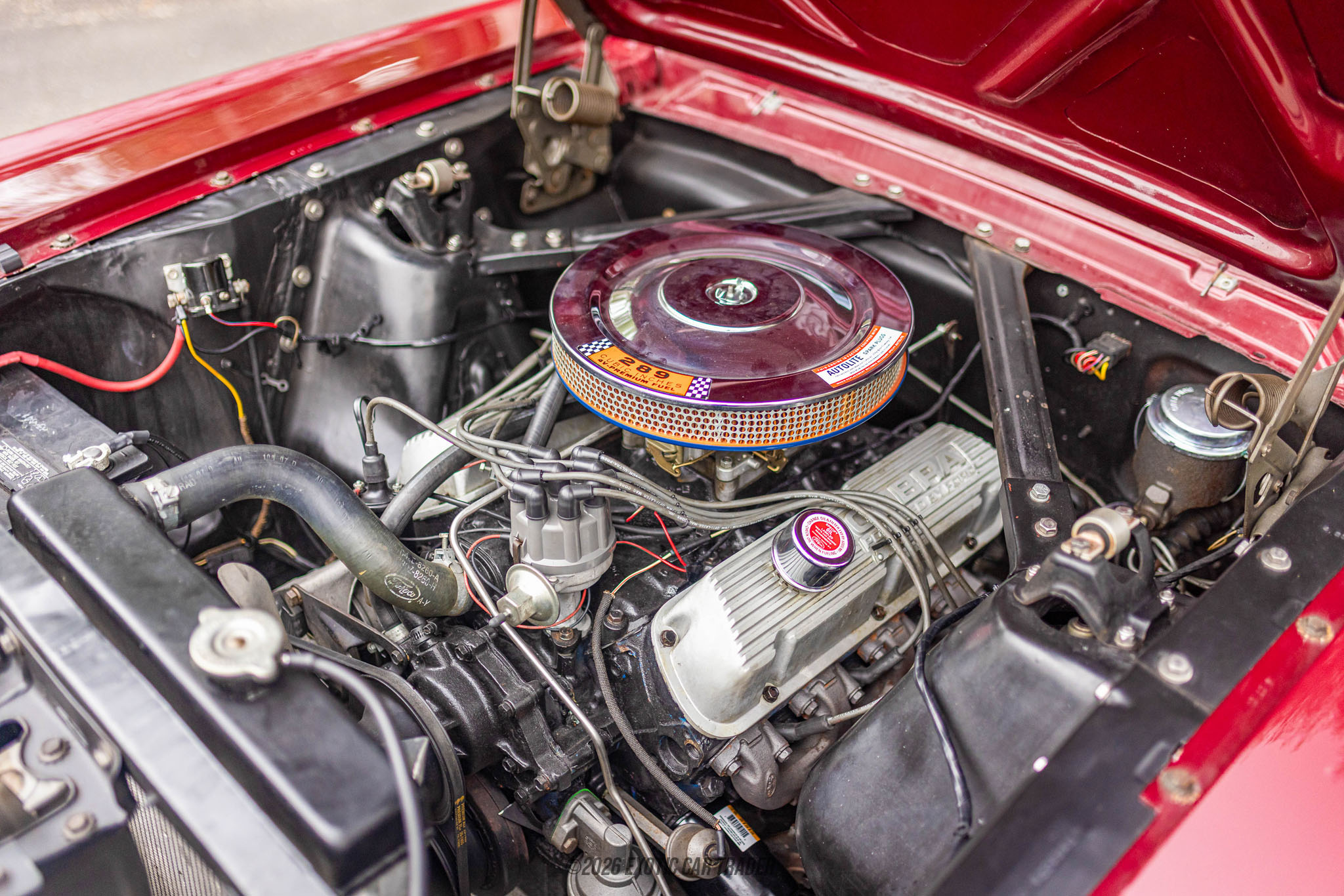 1965 Ford Mustang - Engine Photo