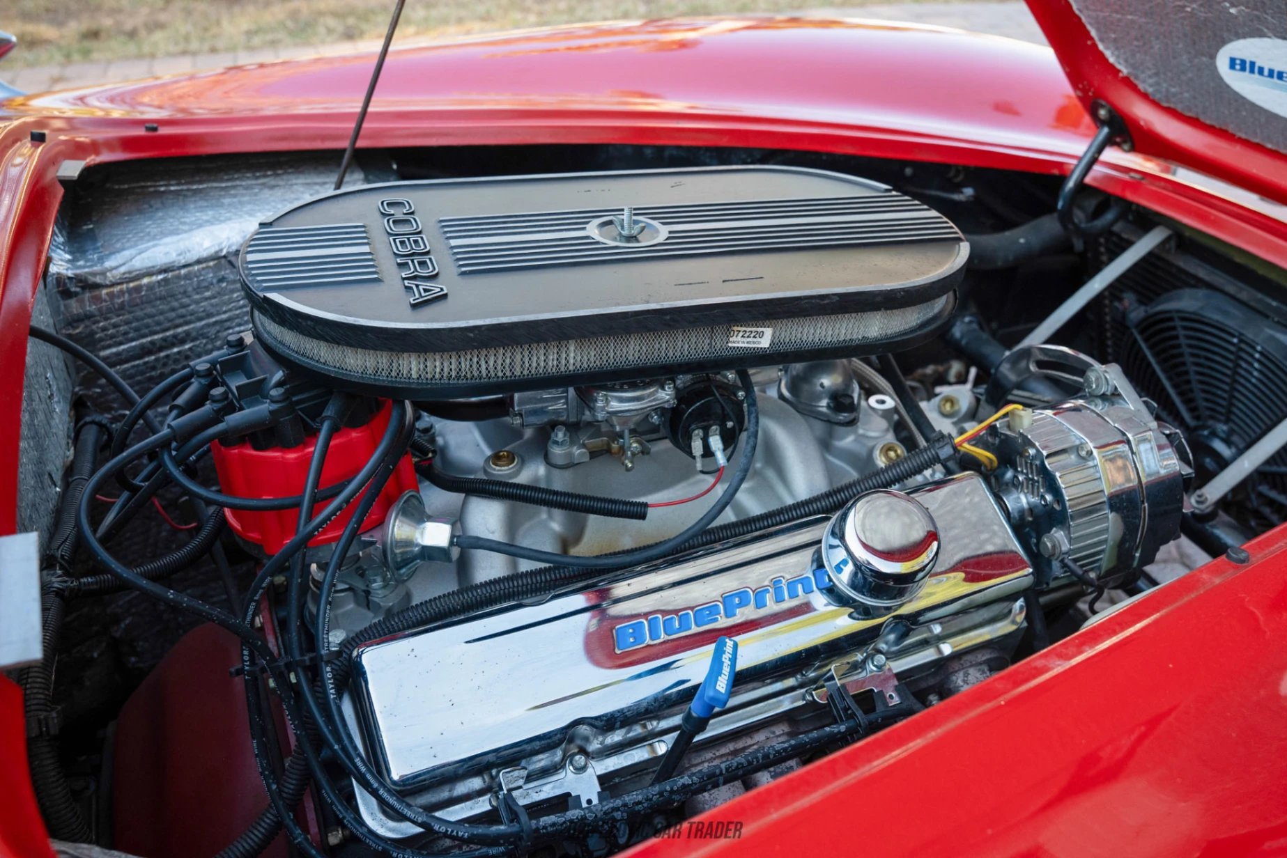 1967 Shelby Cobra - Engine Photo