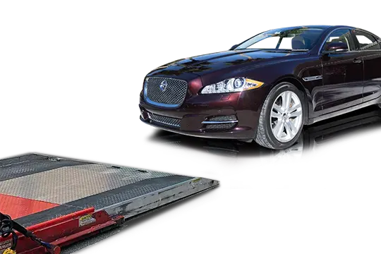 Jaguar being shipped
